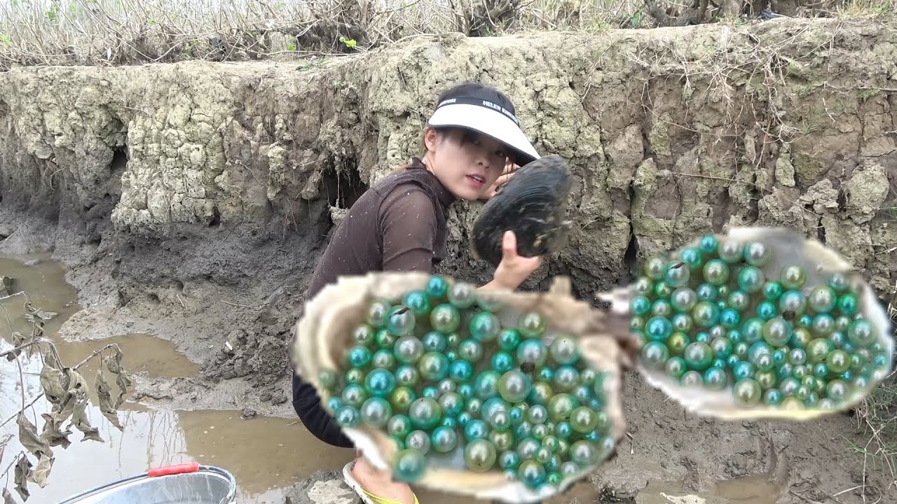 Huge surprise! Picking up oysters in the dirty ditch, such perfect