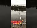 Лучшие советы по ловле леща в апреле 🎣
