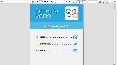 How to find answer sheets uploaded in google forms and check answer sheets with xodo from computer?
