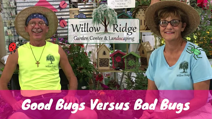 Good Bugs Versus Bad Bugs | Willow Ridge Garden Center