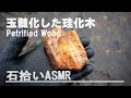玉髄化した珪化木