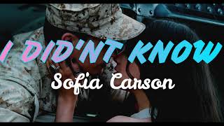 Sofia Carson - I Didn't Know (Lyrics) (From Purple Hearts)