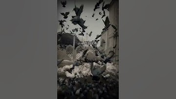 فلما تجلى ربه للجبل جعله دكا || القارئ : رعد الكردي || #قرآن