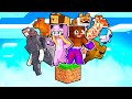 100 tiere auf einem block minecraft