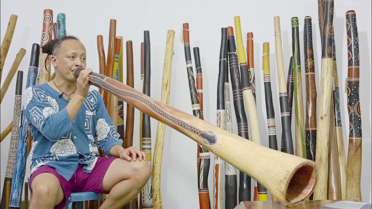 Jesse Leathbridge Didgeridoo key of D webcode 8227 YouTube
