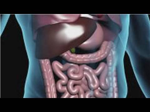 Nutritional Health : How to Clean Your Colon by Fa...