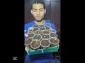 الطريقه الصح لزراعه التفاح من البذره تفاح تفاحه أشجار 