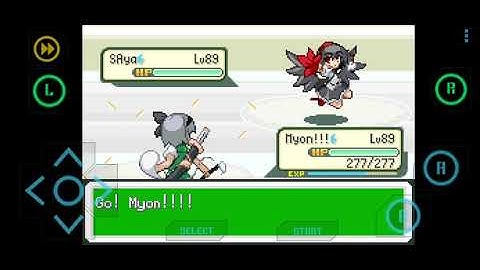 Touhou Puppet Play Enhanced v6.8C: Johto Leader Falkner Rematch