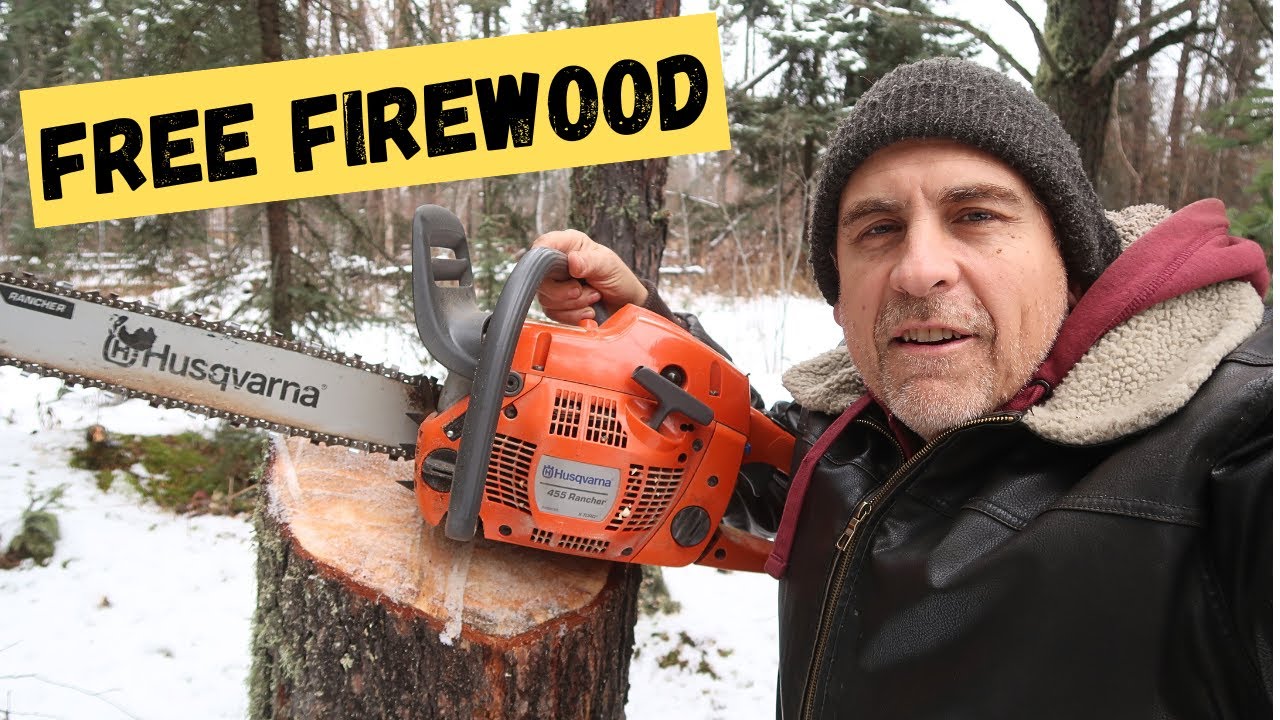 Cut tree down for firewood - YouTube