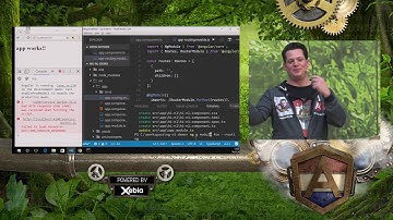 NG-NL 2017: David Muellerchen - ACME (Angular-Cli Manage everything)