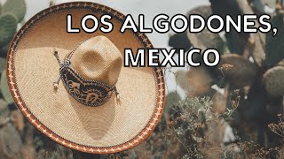 Before Visiting Los Algodones, Mexico-WATCH THIS