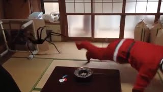 南島原　サンタ衣装  おすすめ     ↓ 概要欄チェック ↓    クリスマス  サンタクロースのコスチュームはコレ！！