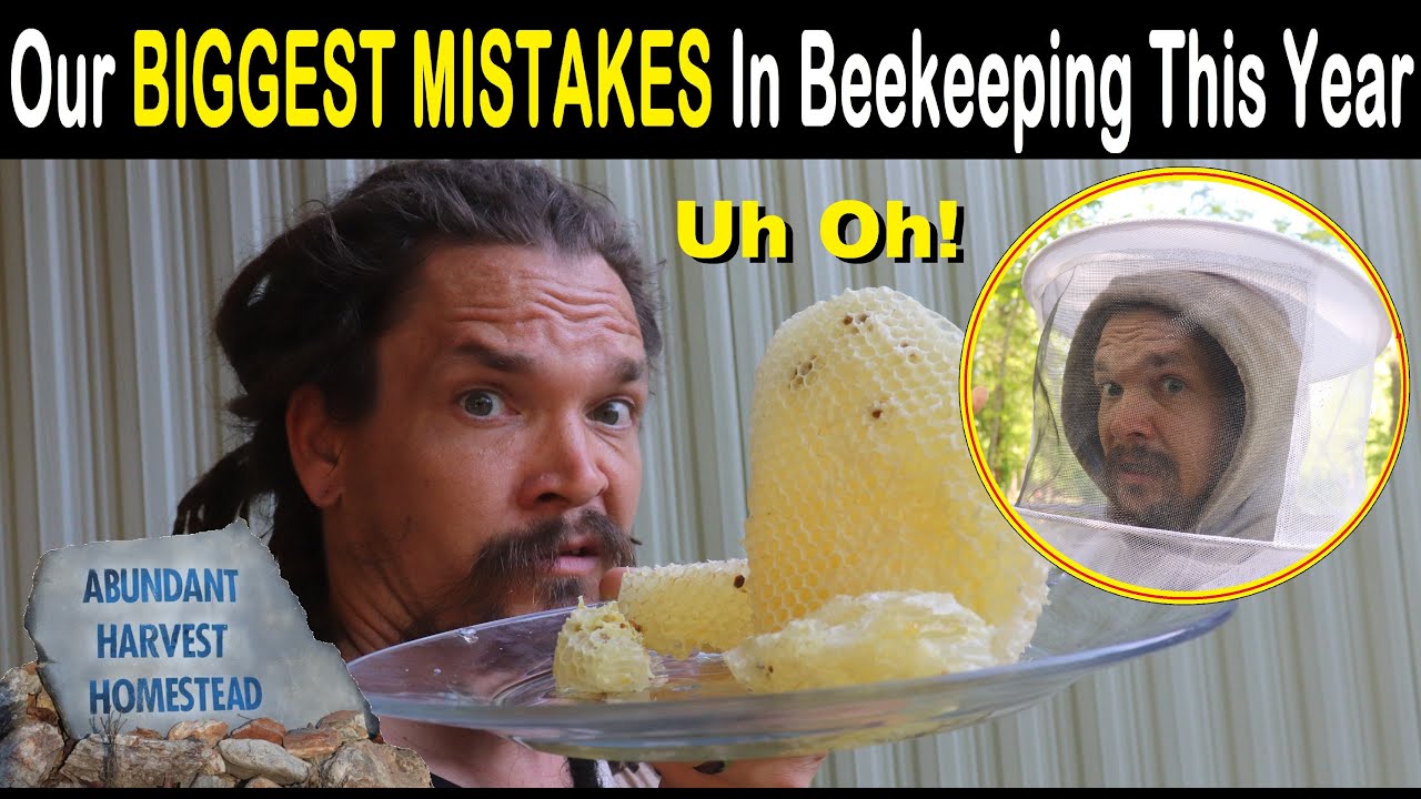 Our BIGGEST MISTAKES in Beekeeping This Year - YouTube