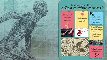 196.- Curso de C++ Avanzado. introducción a la Semántica de Movimiento.