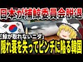 【ゆっくり解説】日本が捕鯨委員会を脱退で韓国大ピンチ【クジラ】