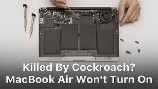 MacBook Air Won't Turn On Troubleshooting - Killed By Cockroach?