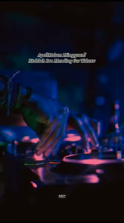 SNAP WA TERBARU DJ JUNGLE DUTCH PARGOY
