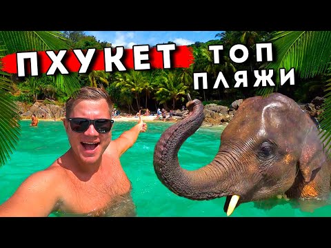 видео: ТОП Тайланд - Пхукет и лучшие пляжи! Бесплатно на платные пляжи Пхукета, слоны на Патонге