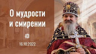 Проповедь о. Андрея Лемешонка после Литургии 16 октября 2022 г.