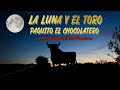 La luna y el toro