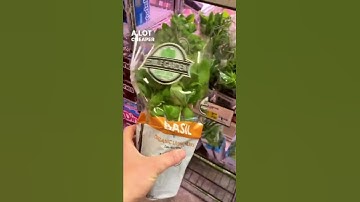 Stop Buying Herbs...Do this Instead - Herb Garden