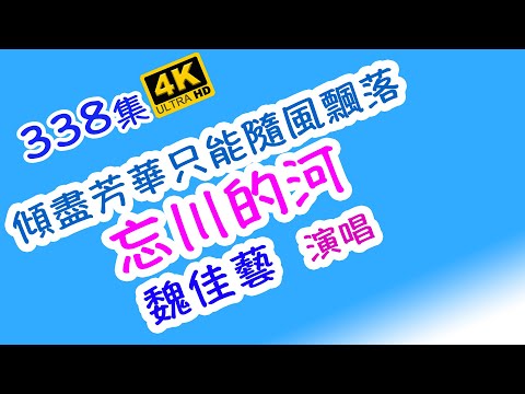 忘川的河 - 魏佳藝 | 精心挑選  超級好聽  百聽不厭｜4K｜338集