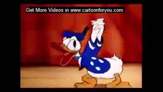 beadon straight