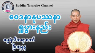 တရားထိုင်နည်း၊  ဝေဒနာနုပဿနာရှုပွားနည်း  #ဓမ္မရံသီဆရာတော်ဦးသုနန္ဒ #မိုးကုတ်ဝိပဿနာ တရားရှုပွားနည်