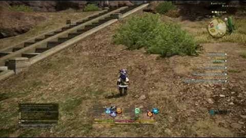 FINAL FANTASY XIV: A Realm Reborn (PS4 Beta Version)