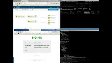 Demo VMware vSphere with Tanzu & NSX Advanced Load Balancer (Avi Networks)