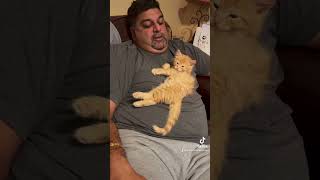 My none cat loving husband  #shortvideo #cat #cuteanimals #kitten #kitten #purr #cutepets #catlove
