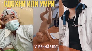 Сдаю Зачеты Каждый день и пытаюсь не умереть|| будни студента-медика