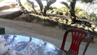 WP 20141121 001