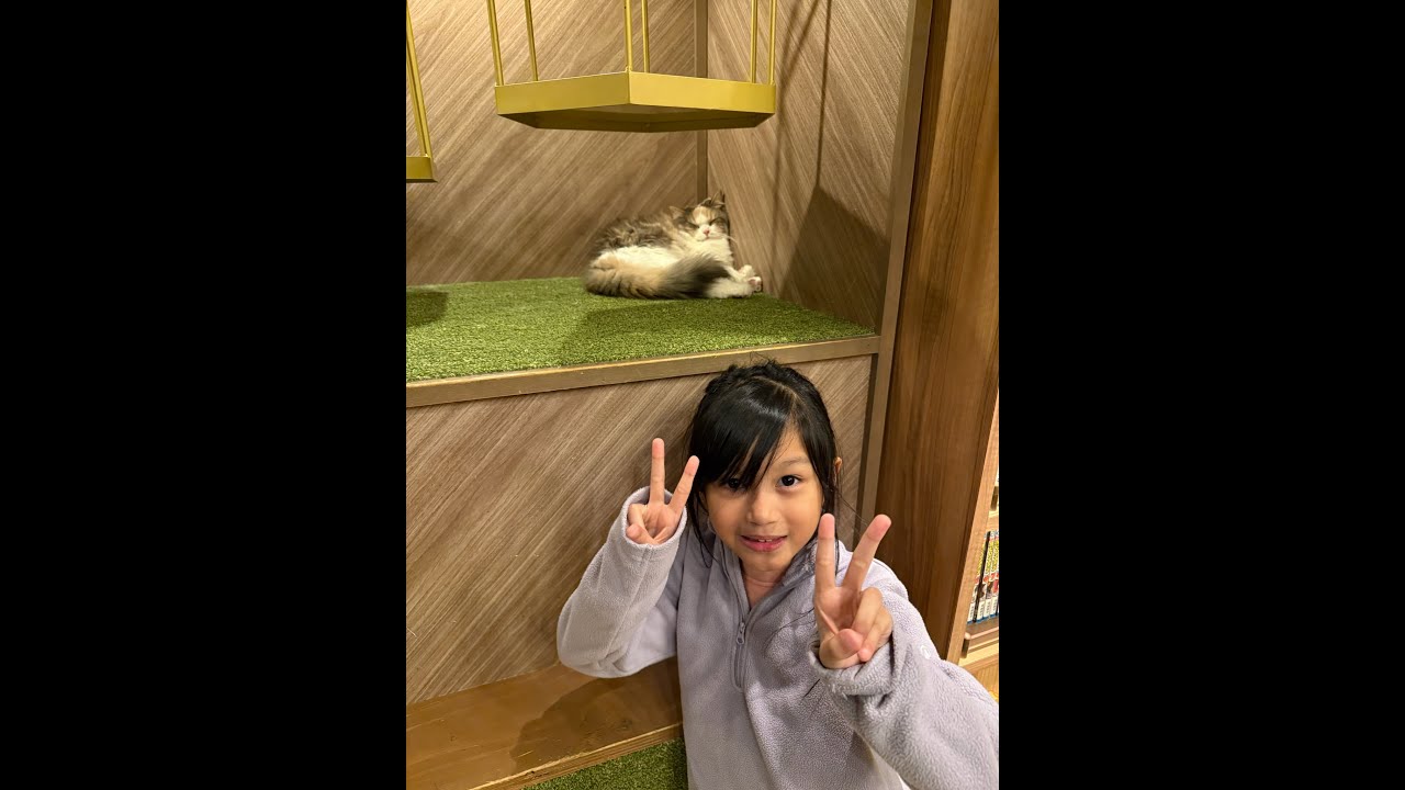 Osaka Cat Cafe MOCHA