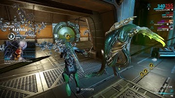 Zeugma, Phobos #8 // WARFRAME