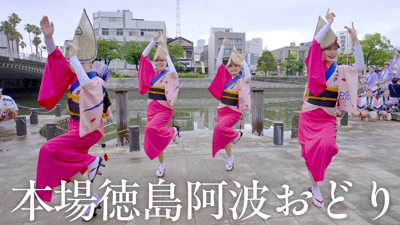 【阿波踊り2026】両国杯2026 四国大学連｜学生連の熱気あふれる演舞 | Awaodori in Tokushima, Japan