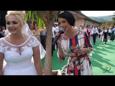 GEORGIANA VITA & FORMATIA TIMISUL- NUNTA ILIE SI MARIA, LUNCAVITA 2019