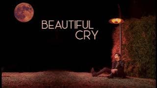 Ari Mediratta - Beautiful Cry