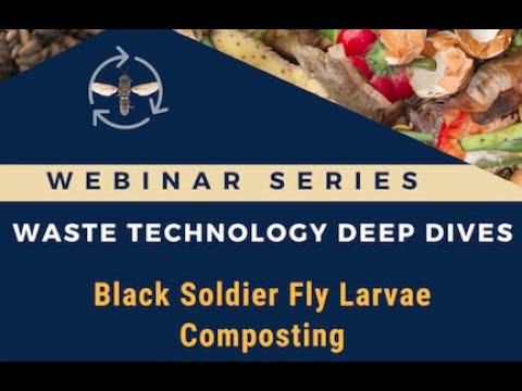 Webinar Waste Technology Deep Dive #3  Black Soldier Fly Larvae Composting