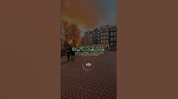 📖سورة الحجر 🎙️طارق محمد