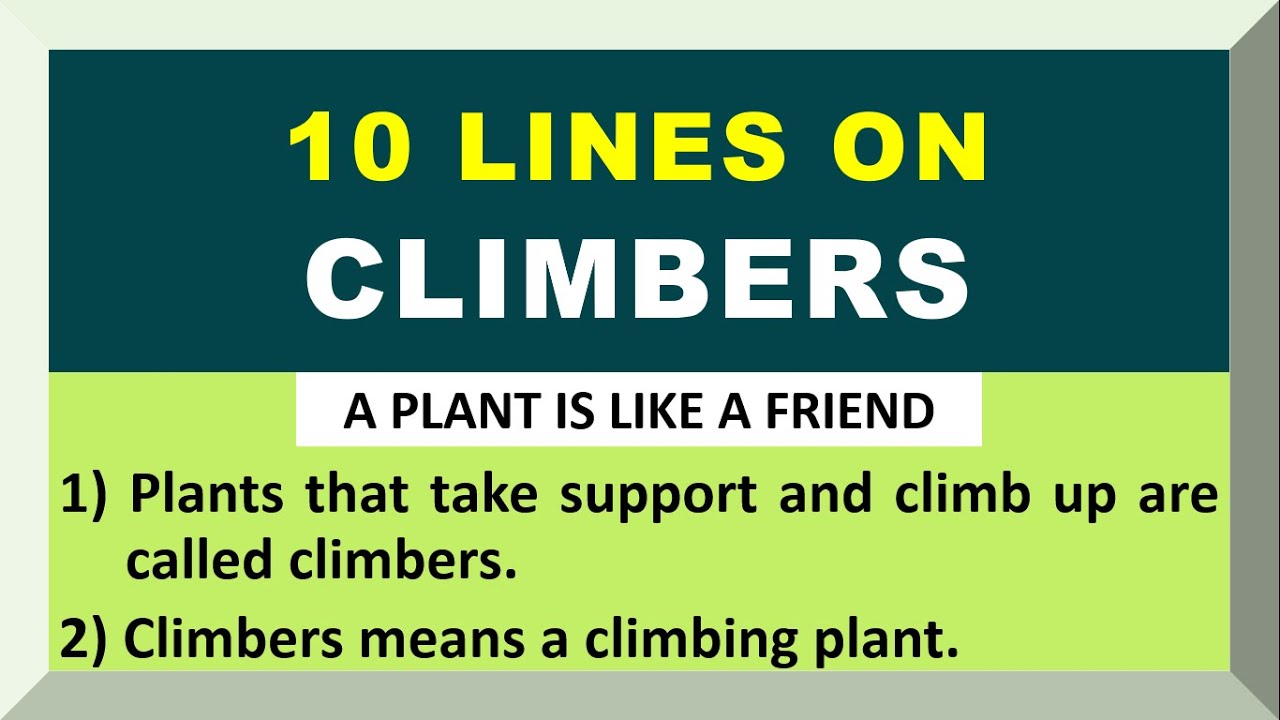 10 Lines on Climbers in English | Few Lines about Climbers | Plant
