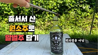 원소주에 말벌주 담기