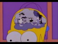 Homer Simpson inside head - You have my undivided attention Homer Simpson inside head - You have my undivided attention