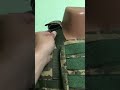 Плитоноска Green Multicam на 8 магазинів + кобура для пістолета + аптечка - Cordura 1000d