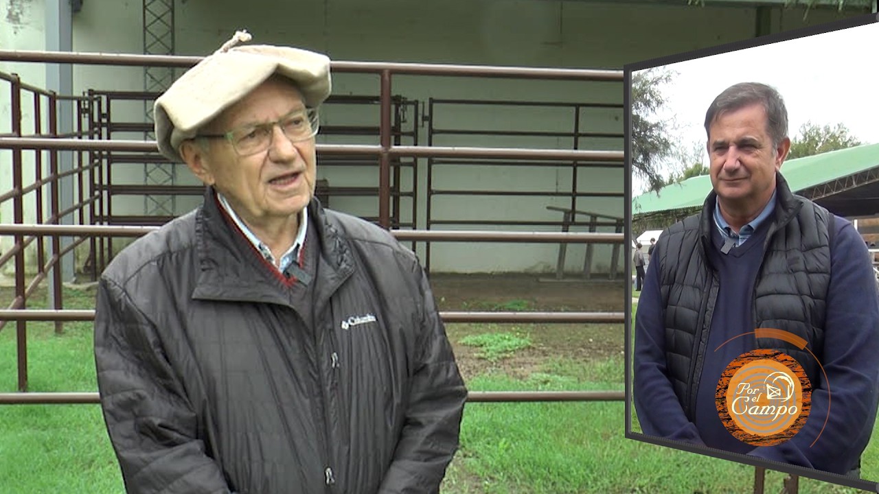 COMISIÓN HEREFORD CENTRO OESTE / UCC