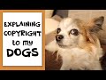 DO I NEED COPYRIGHT FOR MY CHILDREN'S BOOK? | explaining copyright to my dogs