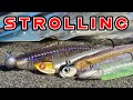 Spring buyers guide strolling for bass  hover rig mid strolling moping damiki rig 