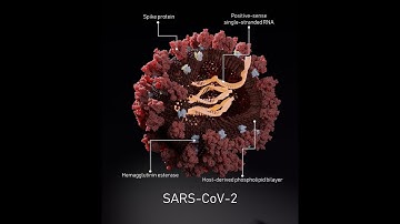 Corona virus gene sequence analysis using MATLAB. |MATLAB SOLUTIONS