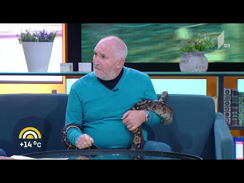 თბილისის ზოოპარკმა საქართველოში გადაშენების პირას მყოფი სახეობების გადასარჩენად კამპანია დაიწყო