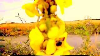 Only You Alexandru Jula Doar Tu